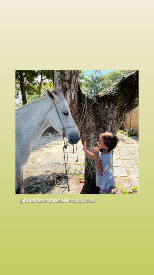 Hotel Fazenda Recanto Das Aguiasアキラス エクステリア 写真