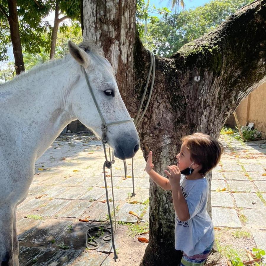 Hotel Fazenda Recanto Das Aguiasアキラス エクステリア 写真