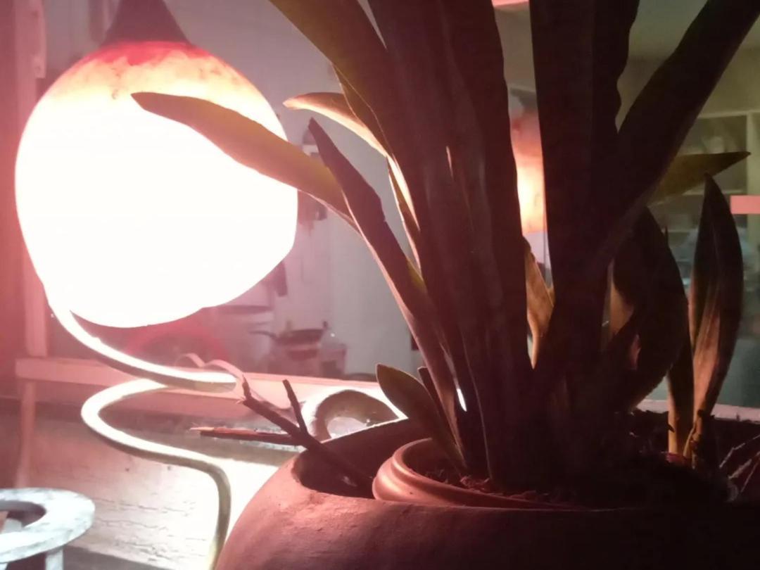 Hotel Fazenda Recanto Das Aguiasアキラス エクステリア 写真